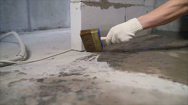 Top rated local Basement Waterproofing specialists in Mount Vernon, VA